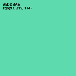 #5DDBAE - De York Color Image