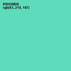 #5DDBBB - De York Color Image