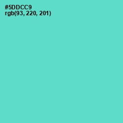 #5DDCC9 - Downy Color Image