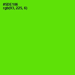 #5DE106 - Bright Green Color Image