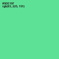 #5DE197 - De York Color Image