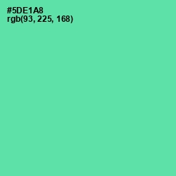 #5DE1A8 - De York Color Image