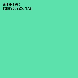 #5DE1AC - De York Color Image