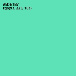 #5DE1B7 - De York Color Image
