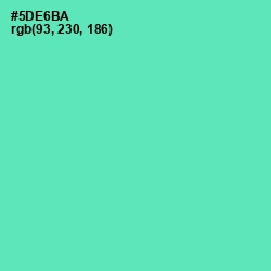 #5DE6BA - De York Color Image