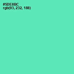 #5DE8BC - De York Color Image
