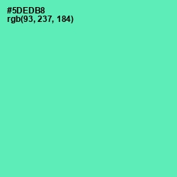 #5DEDB8 - De York Color Image