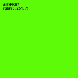 #5DFB07 - Bright Green Color Image