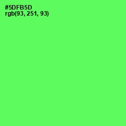 #5DFB5D - Screamin' Green Color Image
