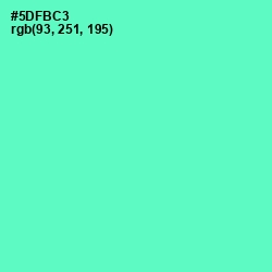 #5DFBC3 - Aquamarine Color Image