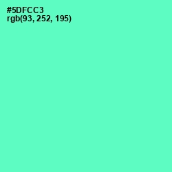 #5DFCC3 - Aquamarine Color Image