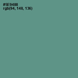 #5E9488 - Smalt Blue Color Image