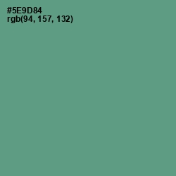 #5E9D84 - Smalt Blue Color Image