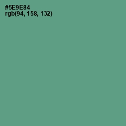 #5E9E84 - Smalt Blue Color Image
