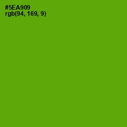 #5EA909 - Christi Color Image