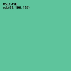 #5EC49B - De York Color Image