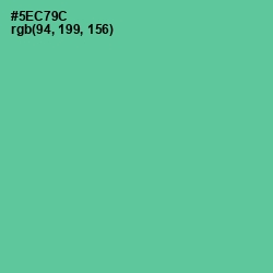 #5EC79C - De York Color Image