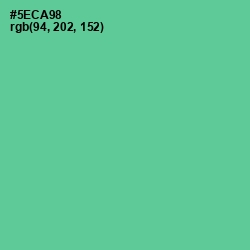 #5ECA98 - De York Color Image