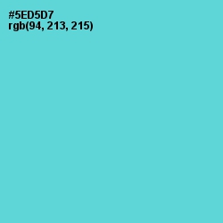 #5ED5D7 - Viking Color Image