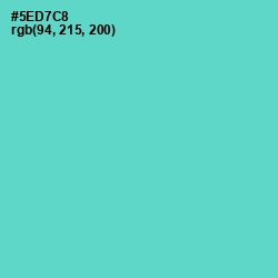 #5ED7C8 - Downy Color Image