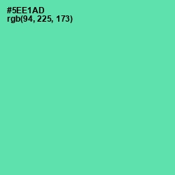 #5EE1AD - De York Color Image