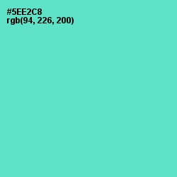 #5EE2C8 - Downy Color Image