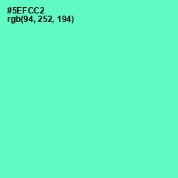 #5EFCC2 - Aquamarine Color Image