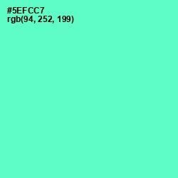 #5EFCC7 - Aquamarine Color Image
