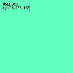 #5EFDC0 - Aquamarine Color Image