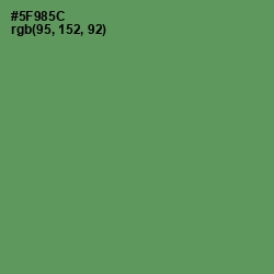 #5F985C - Fruit Salad Color Image