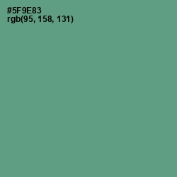 #5F9E83 - Smalt Blue Color Image
