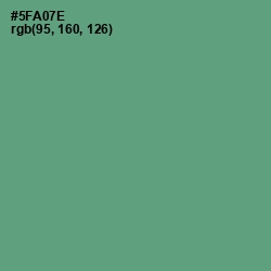 #5FA07E - Aqua Forest Color Image