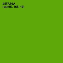 #5FA80A - Christi Color Image