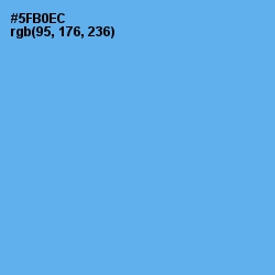 #5FB0EC - Picton Blue Color Image