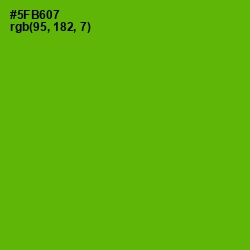 #5FB607 - Christi Color Image