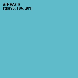 #5FBAC9 - Shakespeare Color Image