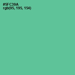 #5FC39A - De York Color Image