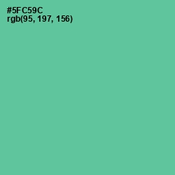 #5FC59C - De York Color Image