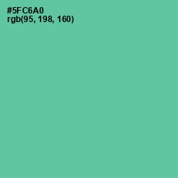 #5FC6A0 - De York Color Image