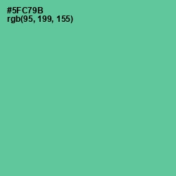 #5FC79B - De York Color Image