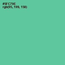 #5FC79E - De York Color Image