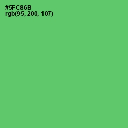 #5FC86B - Emerald Color Image