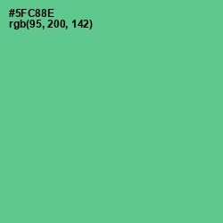 #5FC88E - De York Color Image