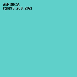 #5FD0CA - Downy Color Image