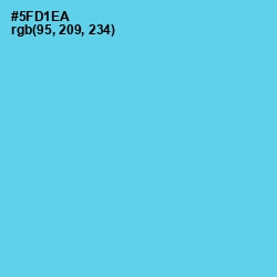 #5FD1EA - Turquoise Blue Color Image
