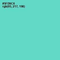 #5FD9C6 - Downy Color Image