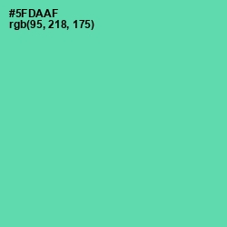 #5FDAAF - De York Color Image