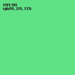 #5FE185 - De York Color Image