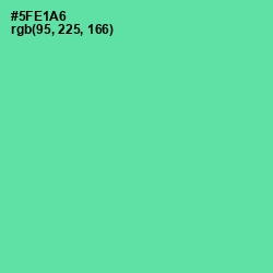 #5FE1A6 - De York Color Image