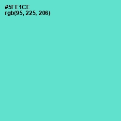 #5FE1CE - Downy Color Image